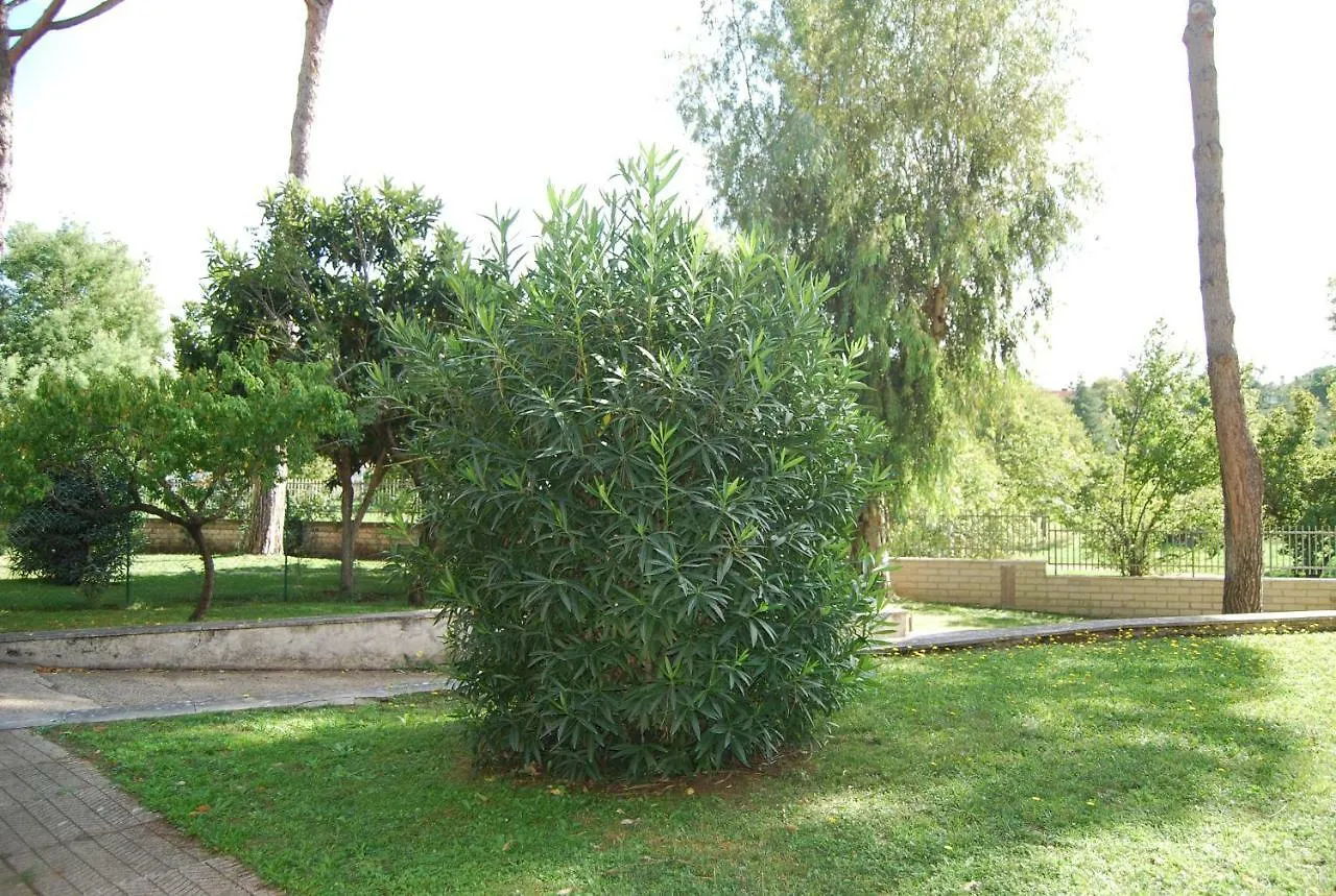 Roma Eur Bed & Breakfast location